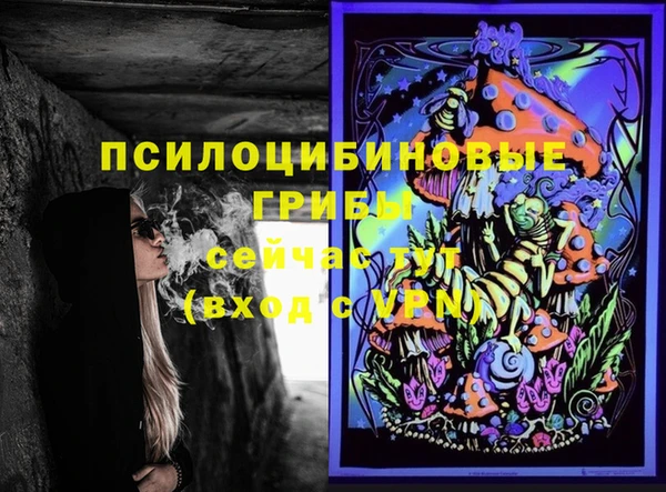 амфетамин Белокуриха