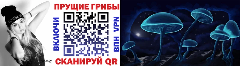 магазин  наркотиков  Кумертау  Псилоцибиновые грибы Psilocybe 