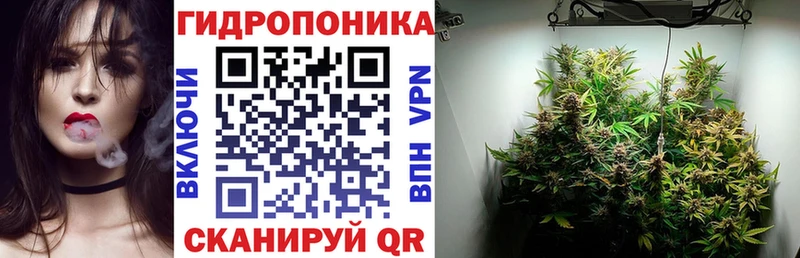 Шишки марихуана THC 21%  где можно купить наркотик  Кумертау 